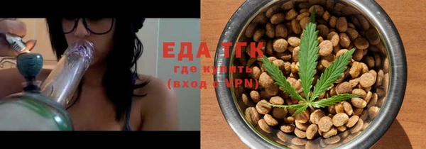 индика Горняк