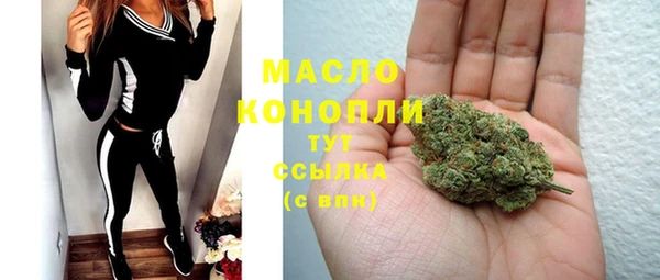 индика Горняк