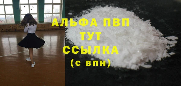 индика Горняк