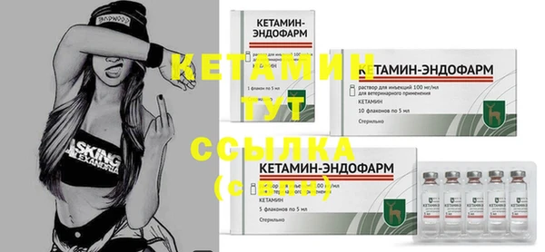 индика Горняк