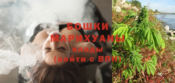 индика Горняк