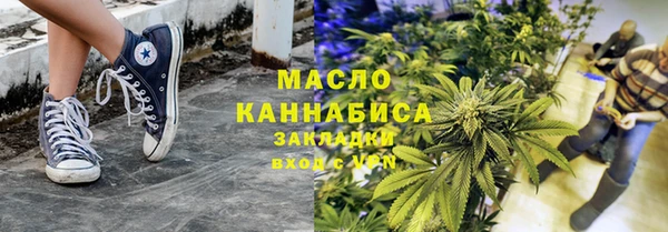 индика Горняк