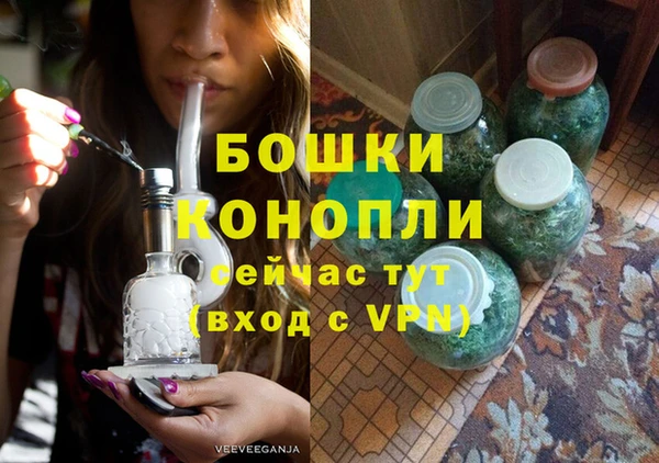 индика Горняк