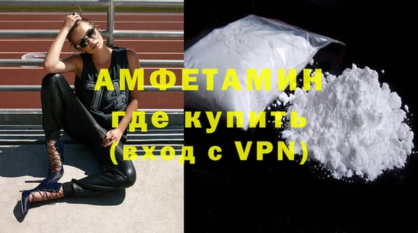 индика Горняк