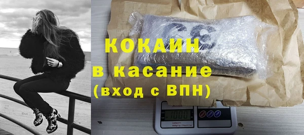 индика Горняк