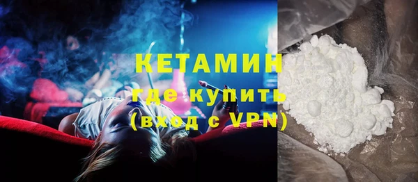 индика Горняк