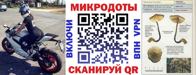 Купить где  Первомайск  Псилоцибиновые грибы Psilocybine cubensis 